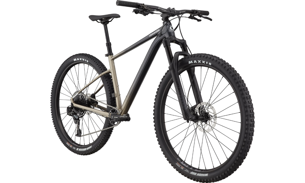 Фотография Велосипед 29" Cannondale TRAIL SE 1 2021, рама - M, Черно-серый